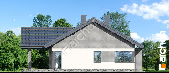 Боковой фасад Дом под красной рябиной 21