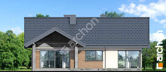 Дворовий фасад Будинок під червоною горобиною 21