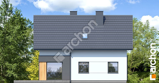 Бочний фасад Будинок у фіалках 4