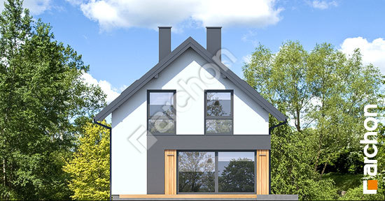 Дворовий фасад Будинок у фіалках 4