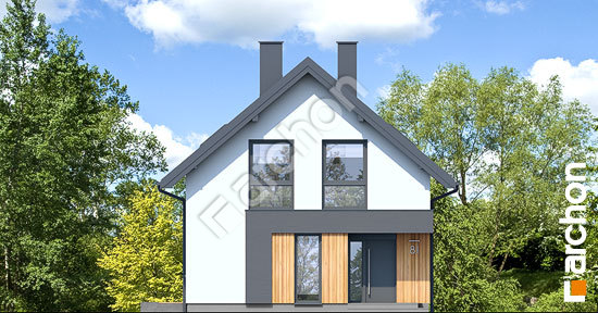 Передний фасад Дом в фиалках 4