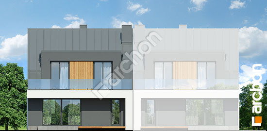 Дворовий фасад Будинок в клематисах 32 (ГБ)