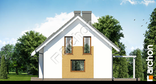 Бочний фасад Будинок в ліметках вер.2