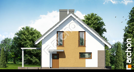 Боковой фасад Дом в лиметках вер.2