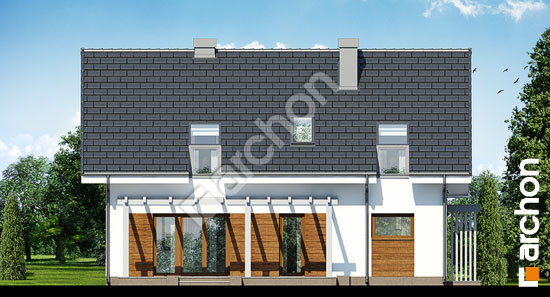 Дворовий фасад Будинок в ліметках вер.2