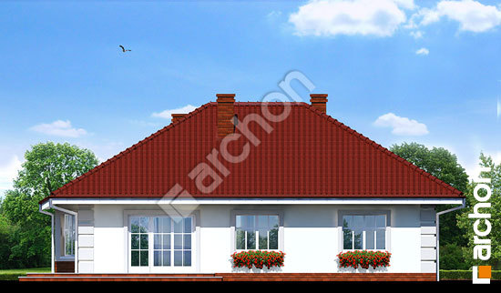 Дворовой фасад Дом под красной рябиной вер.2