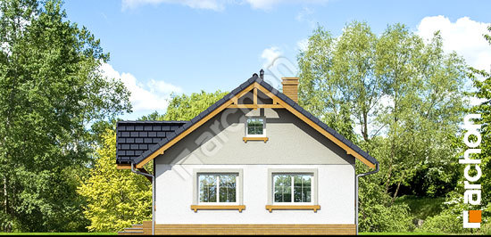 Бочний фасад Будинок в арніці