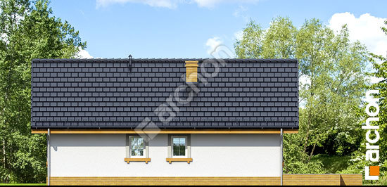 Дворовий фасад Будинок в арніці