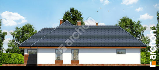 Боковой фасад Дом в хеномелесе 2