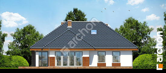 Дворовой фасад Дом в хеномелесе 2