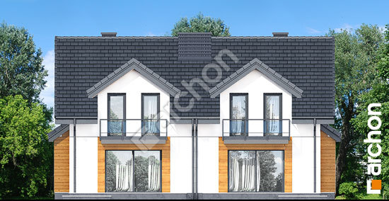 Дворовой фасад Дом в клематисах (Р2)