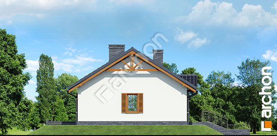 Бочний фасад Будинок в ожині вер.3