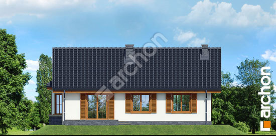 Дворовой фасад Дом в ежевике вер.3