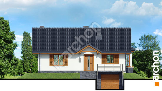 Передній фасад Будинок в ожині вер.3