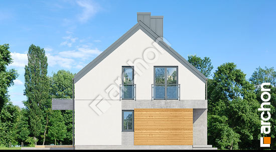 Боковой фасад Дом в малиновках 6