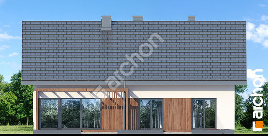 Дворовий фасад Будинок під червоною горобиною 20