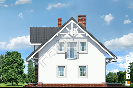 Бочний фасад Будинок в люцерні (Т)