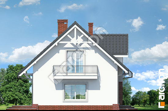 Боковой фасад Дом в люцерне (Т)