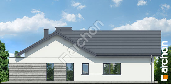 Бочний фасад Будинок в кармазинах (Г2)