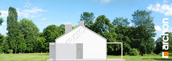 Боковой фасад Дом в коручках 3 (Б)