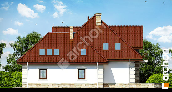 Бочний фасад Будинок в нагетках 3