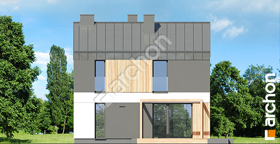 Дворовий фасад Будинок в еверніях вер.2