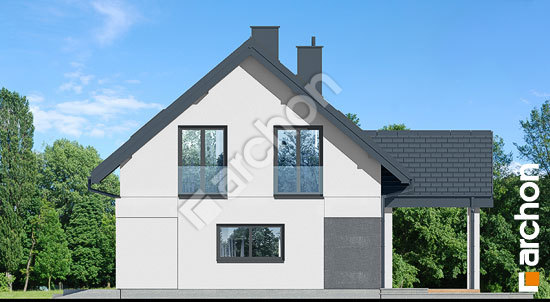 Бочний фасад Будинок в шишковиках 2