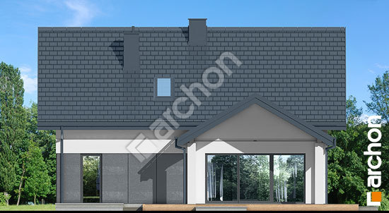 Дворовий фасад Будинок в шишковиках 2