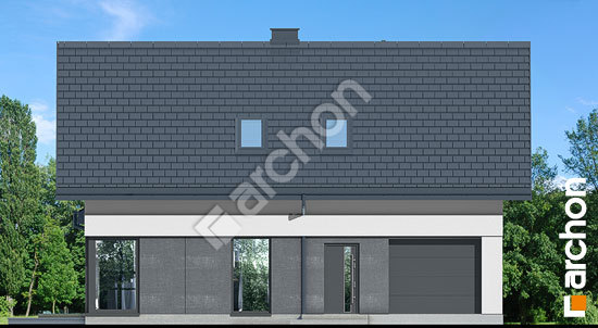 Передній фасад Будинок в шишковиках 2