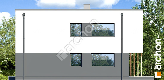 Бочний фасад Будинок в фіалках 6 (Р2БЕ) вер.3