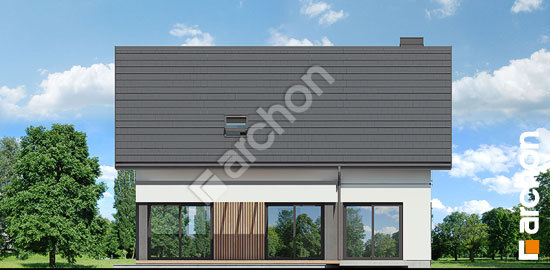 Дворовий фасад Будинок під персиками (ГЕ)