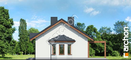 Бочний фасад Будинок в ягодах 2 (ПД) вер. 2