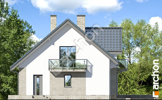 Боковой фасад Дом под личи 6