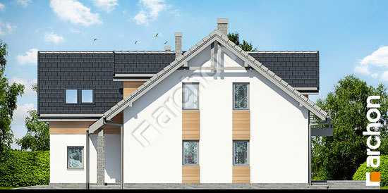 Боковой фасад Дом в клематисах 11