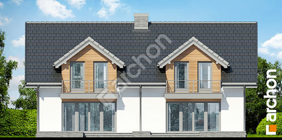 Дворовой фасад Дом в клематисах 11