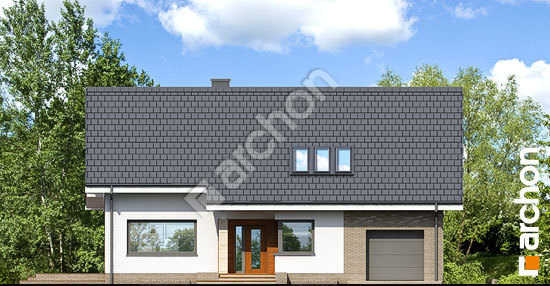 Передній фасад Будинок в бугенвіліях (П)