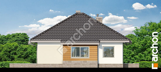 Бочний фасад Будинок в дерені