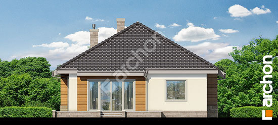 Дворовой фасад Дом в дерни