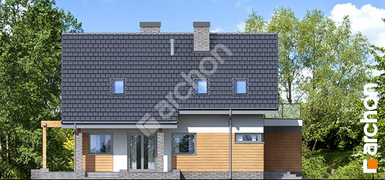 Бочний фасад Будинок в аденофорах вер.2