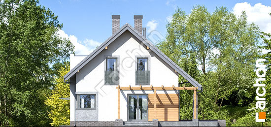 Дворовой фасад Дом в аденофорах вер.2