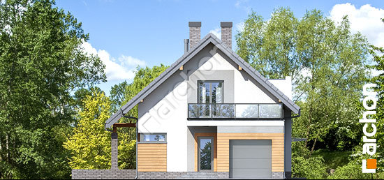 Передний фасад Дом в аденофорах вер.2