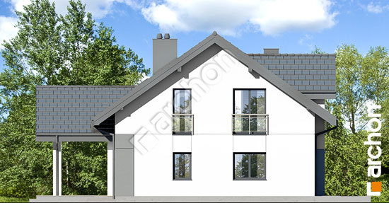 Боковой фасад Дом в аурорах 18 (Г)