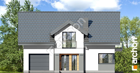 Передний фасад Дом в аурорах 18 (Г)