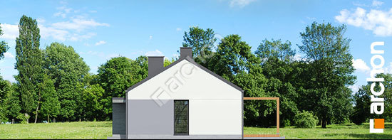 Бочний фасад Будинок в коручках 3 (Р2)