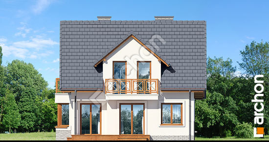 Дворовий фасад Будинок під буками 4 вер.2