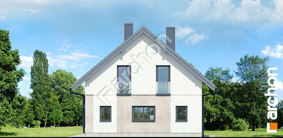 Боковой фасад Дом в изопируме 12