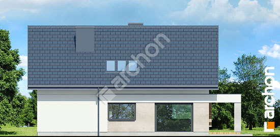 Дворовий фасад Будинок в ізопірумі 12