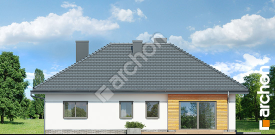 Бочний фасад Будинок в бузку 4 (Г)