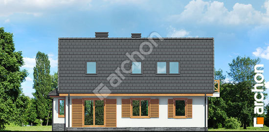 Дворовий фасад Будинок мініатюрка 2 вер. 3