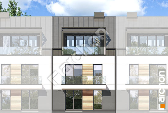 Дворовой фасад Дом в фиалках 10 (Р2С)